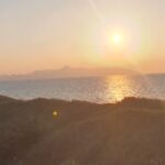 Profile photo of 네육 강