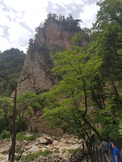 photo-2018-05-27-12-29-08 1